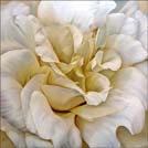 Artwork by Deborah Begeleisen, title Dynamism 2, on display at EXOR Gallery in Boca Raton until March 30th