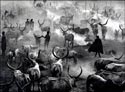 Photographs by Sebastiao Salgado at Peter Fetterman Gallery in Santa Monica