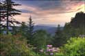 Photograph by Susan Stanton represented by Art & Soul Marketplace and Gallery in Brevard, NC