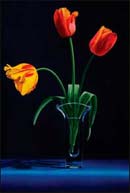Artwork by Jane Jomes represented by Bonner David Gallery in Scottsdale