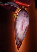 Artwork by Jane O'Neal represented by DNJ Gallery in Los Angeles