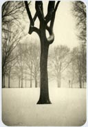 Photographys by Jefferson Hayman on display at John Cleary Gallery in Houston