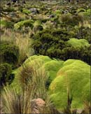 Photograph by Kenneth Parker