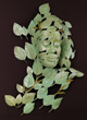 Linda Brunker sculpture, Magnolia Web