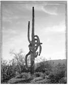 Artwork by Mark Klett represented by Lisa Sette Gallery in Scottsdale