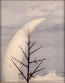 Artwork by Rebecca Salsbury James on exhibition at the Harwood Art Museum in Taos, NM