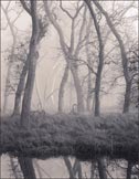 Photographs by Roman Loranc represented by De Santos Gallery in Houston