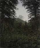 Artwork by Jim Lutes on exhibition at Valerie Carberry Gallery in Chicago through January 28th