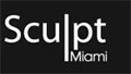 Sculpt Miami 2011 logo