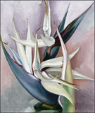 Painting by Georgia O'Keeffe, White Bird of Paradise, 1939, on display at Georgia O'Keeffe Museum in Santa Fe, February 7 - Sept 14, 2014