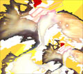 BRBarbara.com image from them