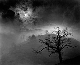 Photographs by Wynn Bullock on exhibit at the High Museum of Art, June 14 - January 18, 2015