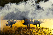 Photographs by Jim Krantz on exhibition at Danziger Gallery in New York, February 12 - March 21, 2015