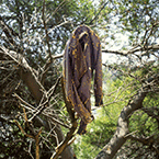 Photographs by Anthony Hernaddez on exhibition at Yancey Richardson Gallery in New York, September 8 - Oct 21, 2017