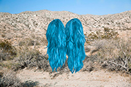 Artwork by Talia Shipman available at Chimento Contemporary in Los Angeles