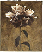 Photograph by Betty Hahn on exhibition at the New Mexico Museum of Art in Santa Fe, through October 7, 2018