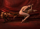 Photographs by Dennis Manarchy located in Chicago, IL