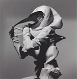 Photographs by Irving Penn at Museum of Photographic Arts in San Diego, CA, Sept 29 - February 17, 2010, 102718
