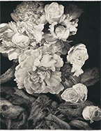 Artwork by Joseph Stashkevetch on exhibition at Von Lintel Gallery in Los Angeles, Oct 27 - December 22, 2018, 101418