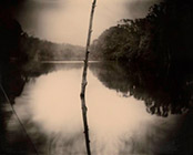 Photographs by Sally Mann on exhibition at The Museum of Fine Arts, Houston, March 3 - May 27, 2019, 022119