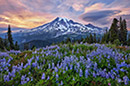 Aaron Reed photographer living in Washington state