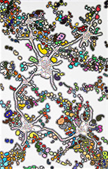 Color drawing by Lordy Rodriguez on exhibition at Slipstitch Studio in Seattle, April 4 - 27, 2024, 040424