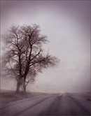 Photography by Todd Hido on exhibition at Stephen Gallery in San Francisco, through February 25th