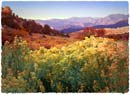 Artwork from Randsburg Art Gallery in Randsburg, CA