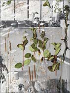Artwork by Matthew Porter on display at M+B in Los Angeles, through February 11th