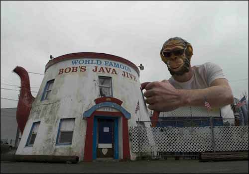 Tacoma Postcard, by Doug and Lynn Mackey - JAVA JIVE