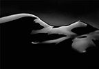 Photographs by Dennis Manarchy located in Chicago, IL