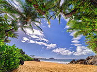 Photography by Andrew Shoemaker available from Andrew Shoemaker Gallery in Maui, Hawaii, 022321