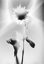 Artwork by Floris Neususs on exhibition at Von Lintel Gallery in Santa Monica, CA, Sept 11 - October 27, 2021, 091621