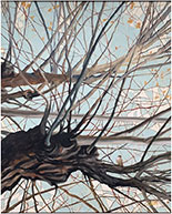 Painting by Rose Ellis, title, Out on a Limb available from Zatista.com, 011622
