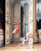 Photograph by Karen Knorr on exhibition at Sundaram Tagore Gallery in New York, May 5 - June 4, 2022, 050322