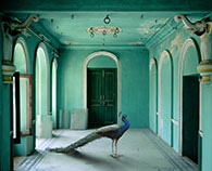 Photograph by Karen Knorr on exhibition at Sundaram Tagore Gallery in New York, May 5 - June 4, 2022, 0050722