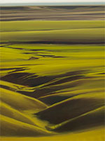 Painting by Lisa Grossman on exhibition at Circa Gallery in Minneapolis, Minnesota, March 19 - May 12, 2022, 032822