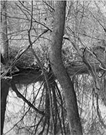 Black and white photograph by Lois Conner on exhibition at Robert Klein Gallery in Boston, April 9 - May 21, 2022, 040722