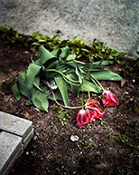 Photograph by Tynan Byrne on exhibition at Gallery Kayafas in Boston, April 22 - May 28, 2022, 042522