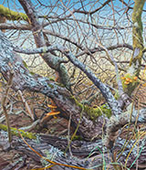 Landscape painting by Chris Russell on exhibition at Eleanor Harwood Gallery in San Francisco, June 2022, 052722