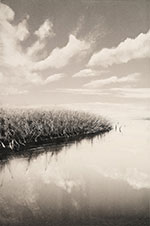 Print by Wendy Orville on exhibition at Davidson Galleries in Seattle, May 5 - July 2, 2022, 050522