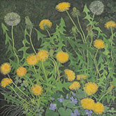 Flower painting by Gary Milek on exhibition at Vose Galleries in Boston, October 25 - December 6, 2022, 111122