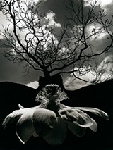 Photograph by Jerry Uelsmann on exhibition at Scheinbaum Russek Ltd in Santa Fe, November 17 - January 7, 2022, 112422