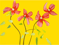 Flower print by Alex Katz available from Leslie Sacks Gallery in Santa Monica, CA, January 2023, 010623