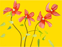 Flower print by Alex Katz available from Leslie Sacks Gallery in Santa Monica, CA, November 5 - December 31, 2022, 010523