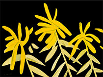 Flower print by Alex Katz available from Leslie Sacks Gallery in Santa Monica, CA, January 2023, 011623