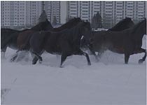 Artwork by Anne Imhof on exhibit at Spruth Magers in Los Angeles, CA, February 15 - May 6, 2023, 020523