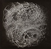 Artwork by Bette Burgoyne on exhibition at Davidson Galleries in Seattle, Dec 2 - January 31, 2023, 010523