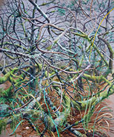 Landscape painting by Chris Russell on exhibition at Russo Lee Gallery in Portland, OR, January 5 - 28, 2023, 010623