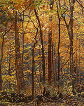 Tree painting by Jeffrey Vaughn available from George Billis Gallery in Fairfield, CT, February 2023, 010723